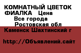 КОМНАТНЫЙ ЦВЕТОК -ФИАЛКА › Цена ­ 1 500 - Все города  »    . Ростовская обл.,Каменск-Шахтинский г.
